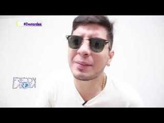 Las mascotas en FreddyLandia