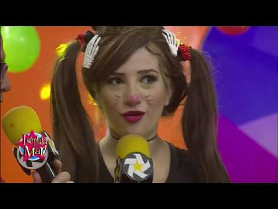 Llegó el show
