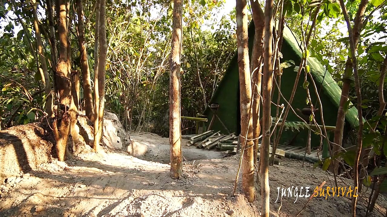 Building Inground Pool Underground Termites Mound
