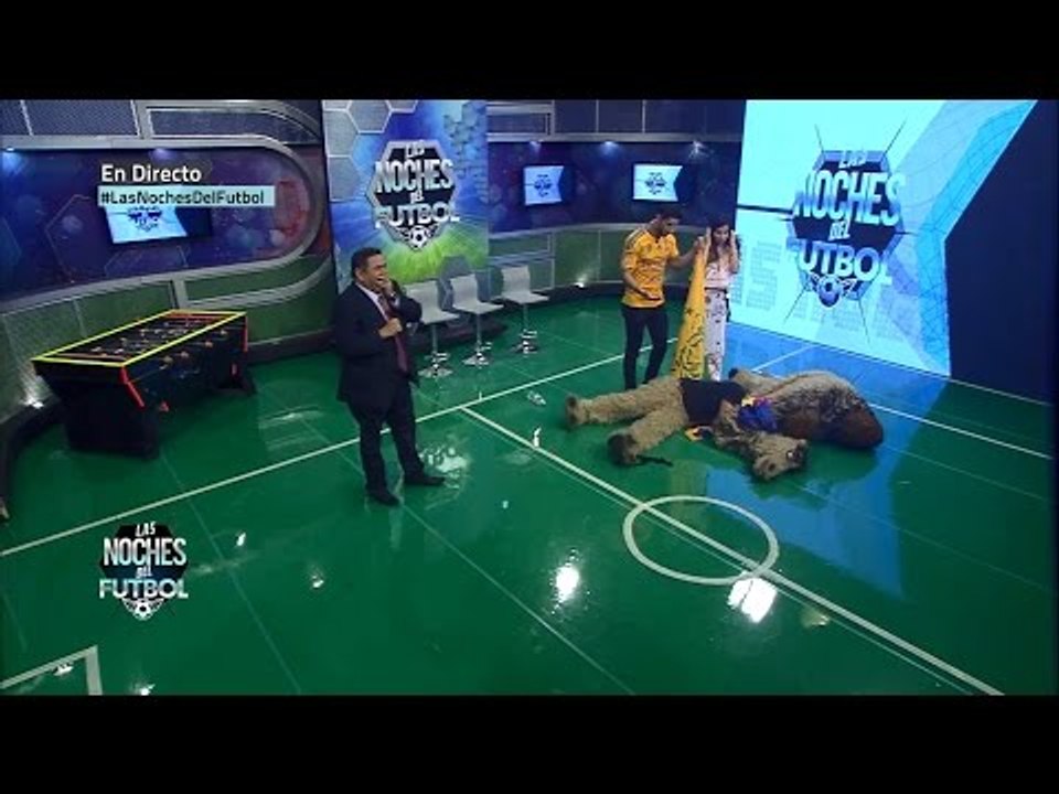 ¿Qué le pasó al camello?