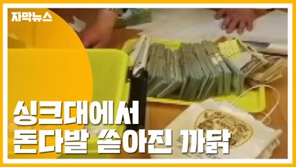 [자막뉴스] 싱크대에서 쏟아진 현금다발...악덕 체납자 무더기 적발 / YTN