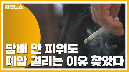 [자막뉴스] 담배 안 피워도 폐암 걸리는 이유 찾았다 / YTN