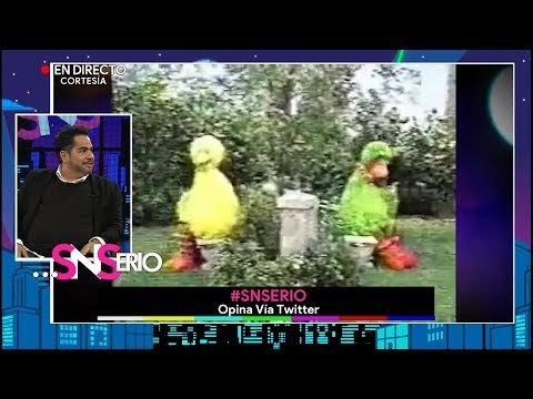 ¿Cómo fue el doblaje en Plaza Sesamo? | SNSerio