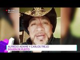 El pleito de Alfredo Adame y Carlos Trejo | Destardes