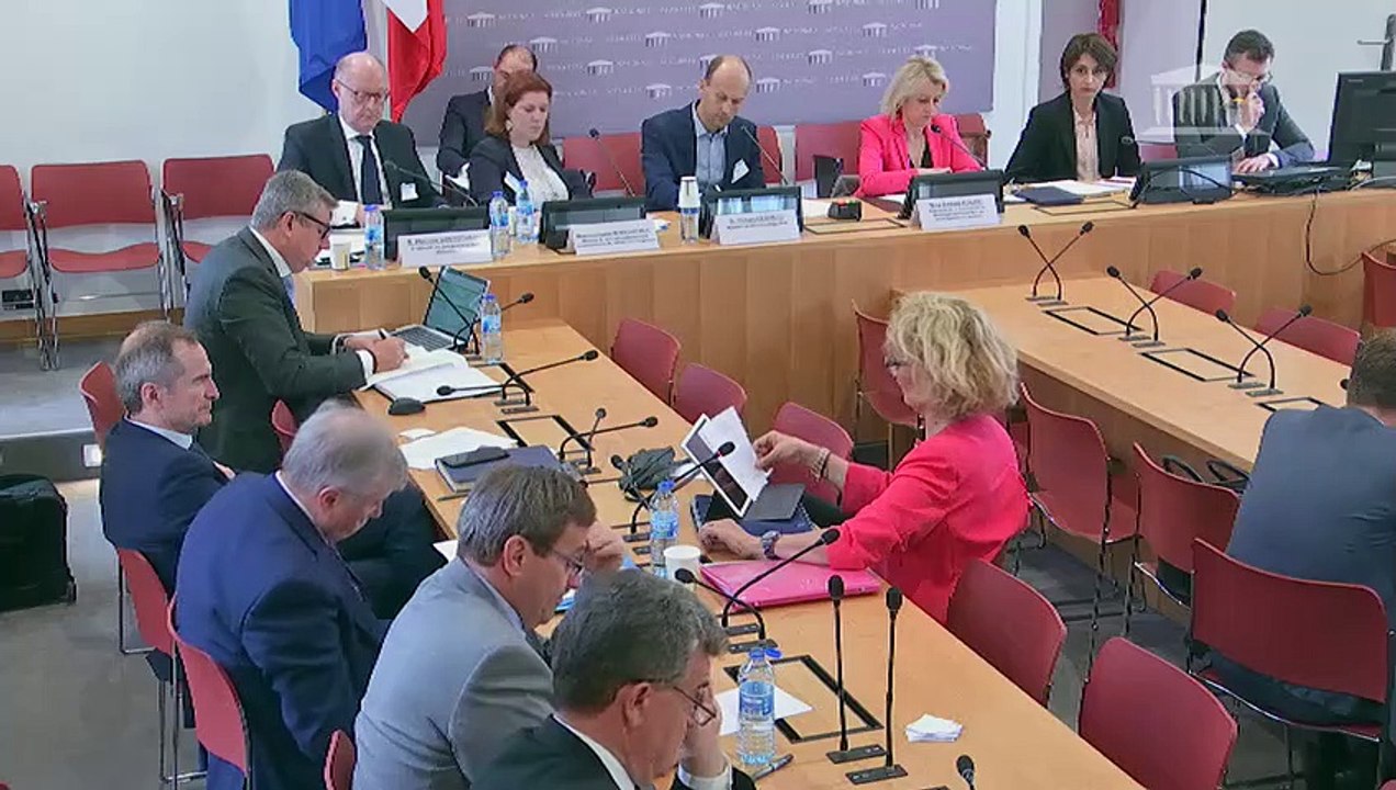 Commission du développement durable : Rénovation énergétique des bâtiments  - Mercredi 29 mai 2019