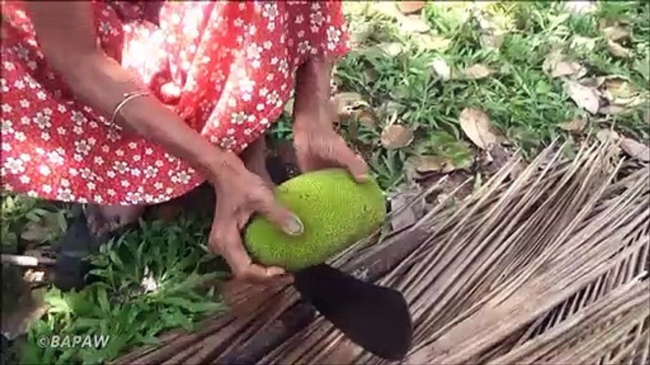Bio Alimentaire du Village  Cuisine Traditionnelle Peu de Vert Jacquier Curry dans mon Village par la grand-mère