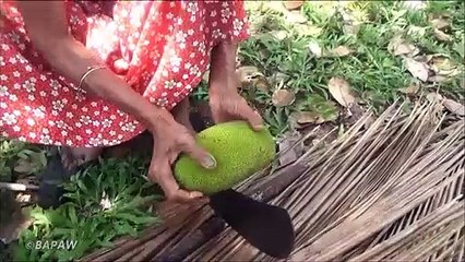 Bio Alimentaire du Village  Cuisine Traditionnelle Peu de Vert Jacquier Curry dans mon Village par la grand-mère