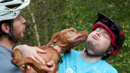 Racing The World's Fastest Trail Dog - Joe & Jack Take on Ruby the Vizsla - BikeRadar Diaries Ep12