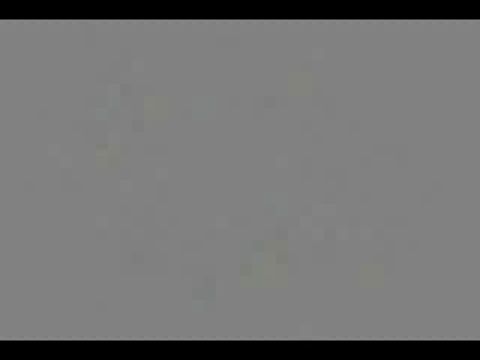 Panda Sneeze