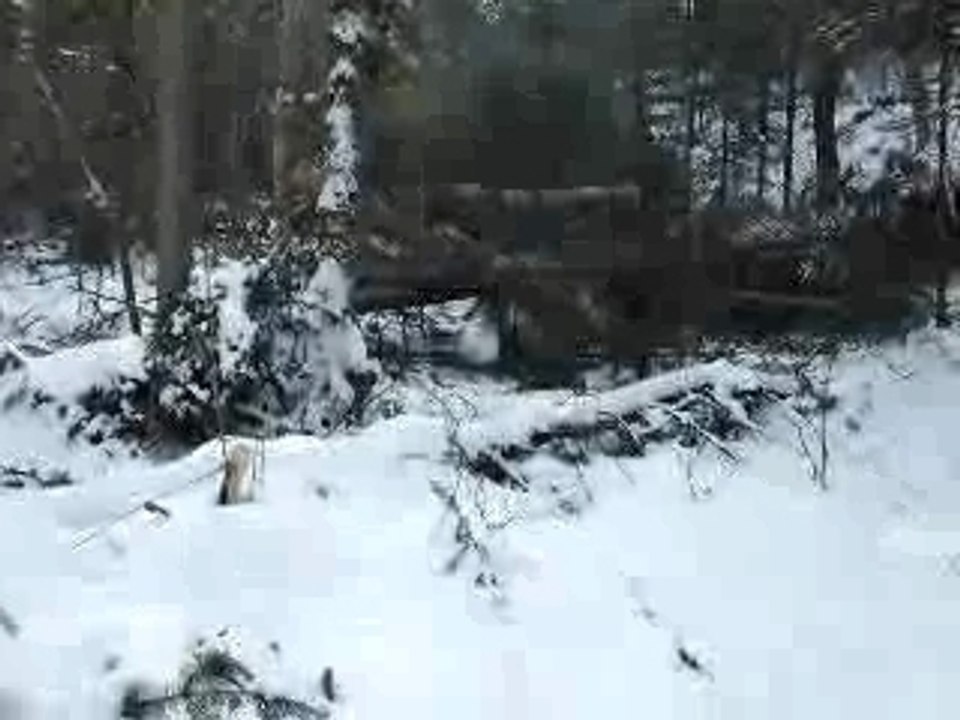 skidder a câble en opération