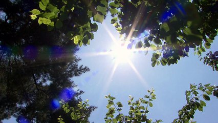 [날씨] 휴일 전국 30도 안팎 더위...자외선·오존↑ / YTN