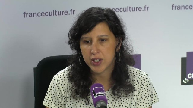 Bibia Pavard En France, le droit à l'IVG semble consolidé grâce à une transformation en droits des concessions de la loi Veil, notamment avec la création du délit d'entrave à l'IVG. Il y a en face une nouvelle génération galvanisée de groupes pro-vie.