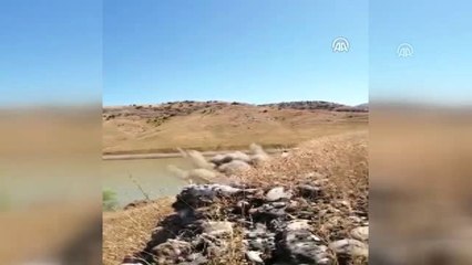 Kayalık alanda gizlenmiş antitank mayını bulundu