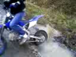 derwa avec la dirt en foret