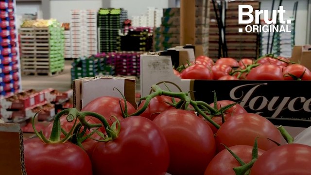 Le Freegan Pony, une cantine anti-gaspillage et solidaire