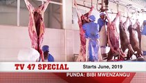 PUNDA: BIBI MWENZANGU starting June 2019. Stay tuned
