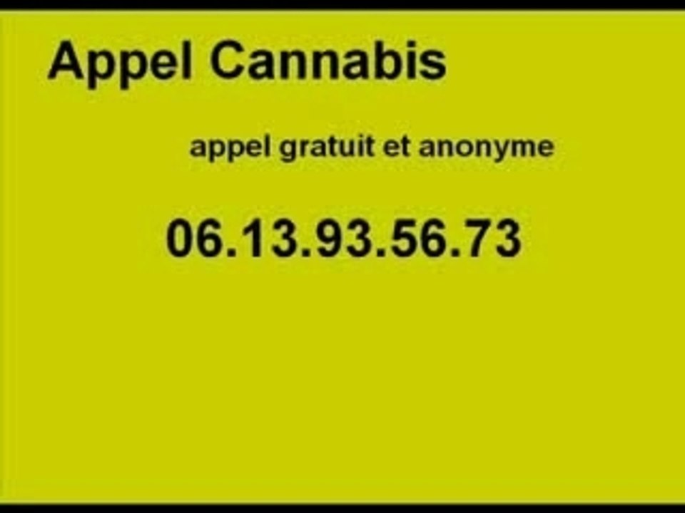 Jimmy Ride Cannabis