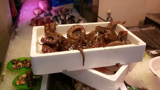 Street Food Market Discovery | Japanese Food - FUGU SAKE, OCTOPUS, SQUID Seafood Sushi Teruzushi Japan