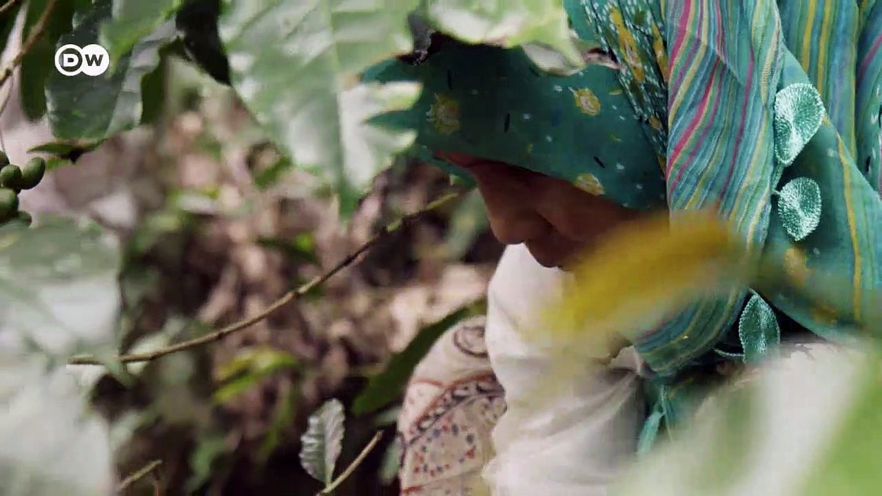 Matriarchat - ein Role Model? | Made in Germany