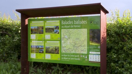 Reportage Grandeur Nature - Olne