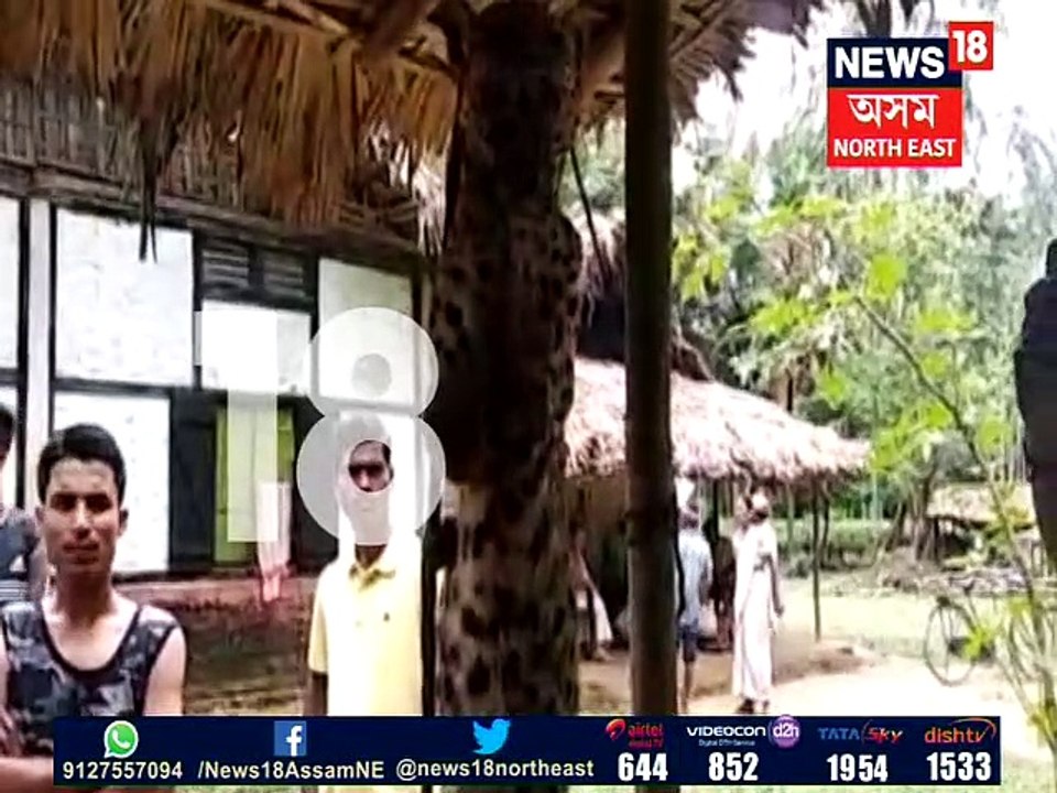 Sonari tiger killed