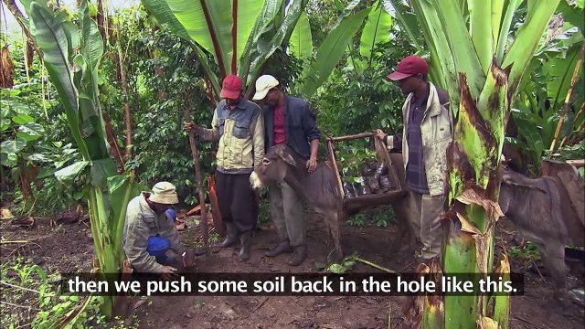 Africa Rising (Foreign Aid Documentary) - Real Stories