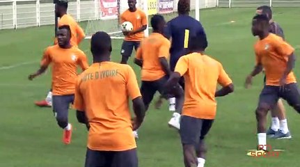 Football | CAN2019 : Les éléphants affûtent leurs armes pour l'Egypte