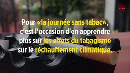 Tabac et climat : « C'est le bon moment pour faire passer le message »