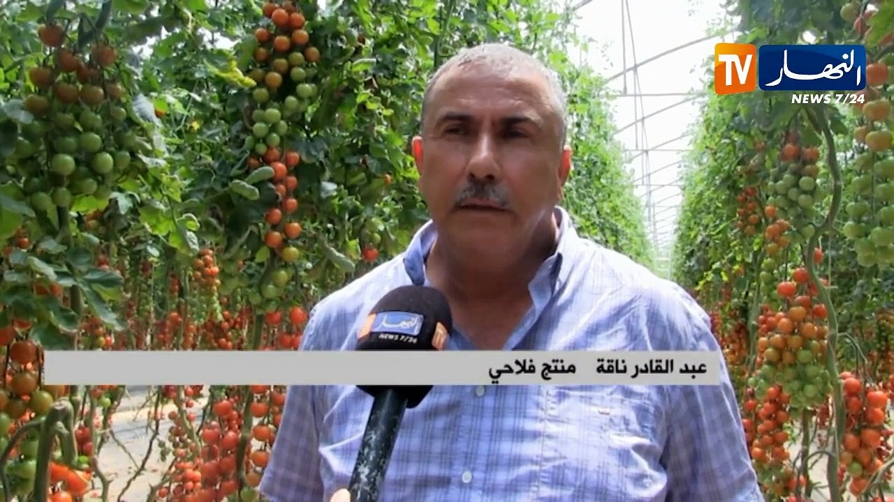 الأخبار الإقتصادية/ منتجات فلاحية ذات جودة عالية للتصدير..هكذا رفع فلاحون التحدي