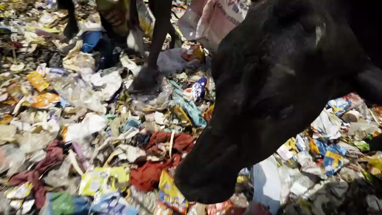 Découvrez les premières images de "Dezoom", la nouvelle série documentaire d'Arte qui dévoile l'empreinte de l'homme sur la nature, filmée par drones