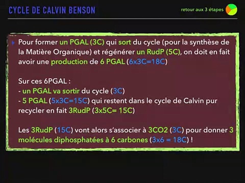 CYCLE de CALVIN BENSON (phase sombre de la photosynthèse)