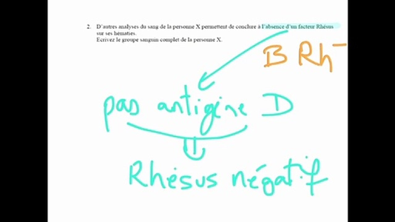 Groupes sanguins (exercices corrigés)