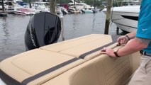 2019 Sea Ray SPX 210 Outboard Boat For Sale at MarineMax Brick, NJ