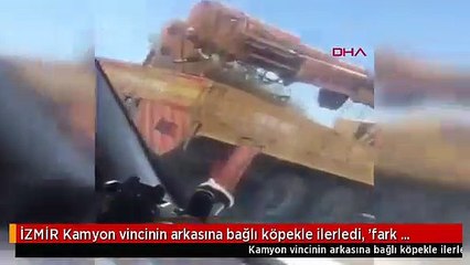 İZMİR Kamyon vincinin arkasına bağlı köpekle ilerledi, 'fark etmedim' dedi