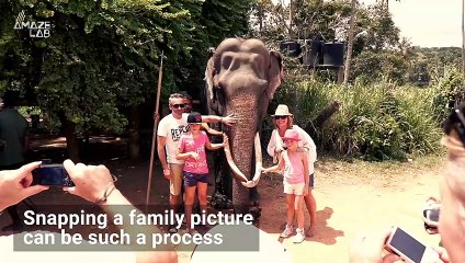 NASA Telescope Captures Cosmic 'Family Portrait'