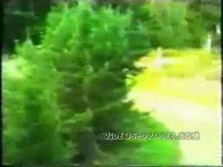 Session-Crach-Voiture-Rallye