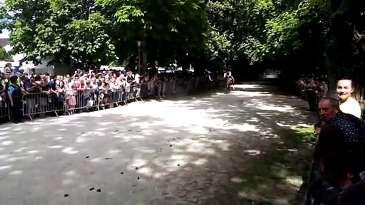 L'arrivée de la course de purs-sangs de la 381e course de la Bague