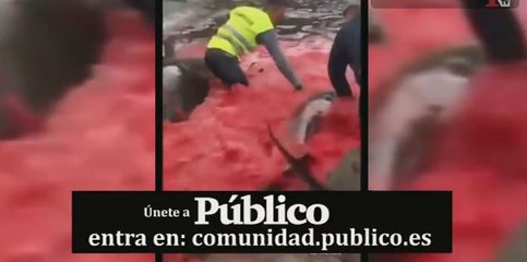 Público al Día - 31 de mayo de 2019