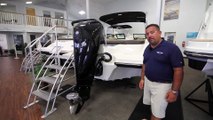 2019 Sea Ray SPX 210 Outboard Boat For Sale at MarineMax Somers Point, NJ