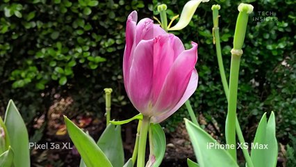 I Switched From The $1,099 iPhone XS Max To The $479 Pixel 3a XL — And I Didn’t Miss Much