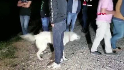 Bursa - Kaybolan çobanın şapkası gölette bulununca, dalgıç çağrıldı