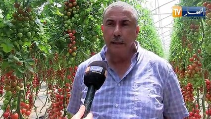 فلاحة: منتجات فلاحية ذات جودة عالية للتصدير ..هكذا رفع فلاحون التحدي