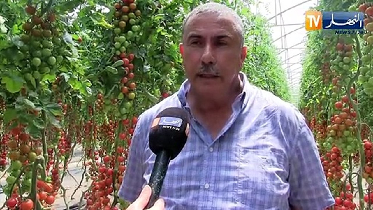 فلاحة: منتجات فلاحية ذات جودة عالية للتصدير ..هكذا رفع فلاحون التحدي