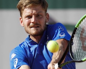 Roland-Garros - Goffin : "Je sors d'ici avec du positif"