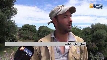 الطارف: مافيا نهب رمال الوديان تواصل إستنزاف الثروات..والسكان يستغيثون