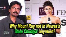 Why Mouni Roy not in Nawaz’s 'Bole Chudiya' anymore ?
