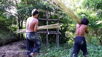 Build wild doves house