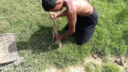 Building Medium Fish Pond