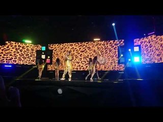 PIKO太郎訪台獻唱《PPAP》