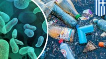 Bakteri pemakan plastik ditemukan di dalam laut - TomoNews